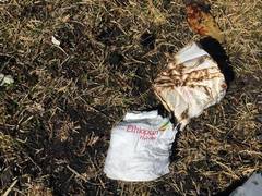 
      
      4 Indians among 157 killed in Ethiopian plane crash
      
      