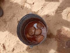 
      
      More than dozen bombs found in Andhra
      
      