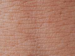 
      
      Enzymes protect skin by ignoring microbes, viruses
      
      