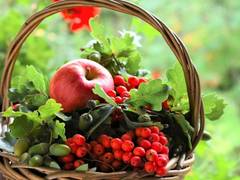 
    Study reveals high flavanol diet may lead to lower blood pressure
    
