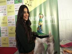 
      
      "Adopt, don't shop," says Daisy Shah during stray dog...
      
      