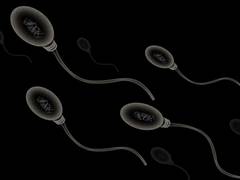 
      
      Compound found in tomatoes can boost sperm quality
      
      
