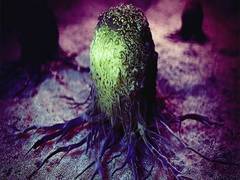
      
      Study identifies compound effective against...
      
      