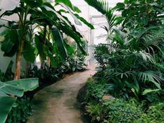 
      
      Researchers find how plants become good neighbours in times...
      
      