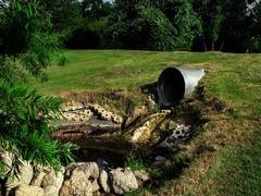 
      
      Researchers develop eco-friendly process to remove pollutants...
      
      