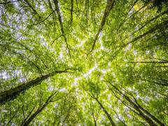 
      
      IPCC Report clarion call for developed countries to undertake...
      
      
