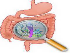
      
      'Good' bacteria show promise for clinical treatment of...
      
      