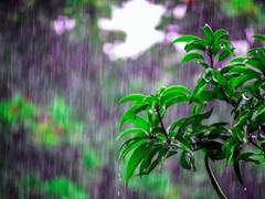 
      
      Unprecedented rise of heat, rainfall extremes in...
      
      