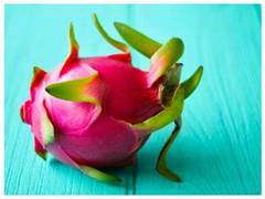 
      
      Exotic dragon fruit 'Kamalam' from Maharashtra exported to Dubai
      
      