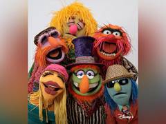 
      
      Crew of 'The Muppets Mayhem' series involved in accident
      
      