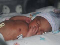 
    Immune control switch could prevent brain injury in premature babies: Study
    