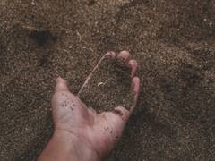 
      
      Warmer soil stores less carbon: Study
      
      