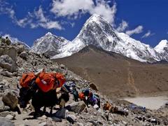 
      
      Nepal's new regulation to end solo expeditions of 8000er's
      
      