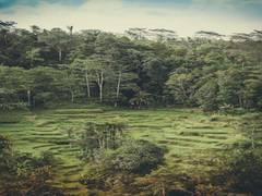 
      
      Earth's climate control system got changed due to arrival of...
      
      