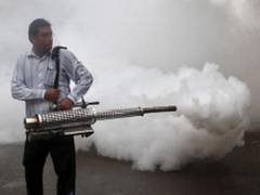 
      
      Delhi HC to hear dengue, chikungunya matter
      
      