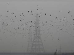 
    Delhi pollution: Air quality plunges to 'very poor'
    