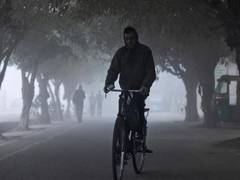 
      
       Some relief from biting cold as North India gets warmer due...
      
      