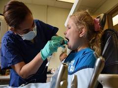 
      
      Indigenous oral health inequalities occur during childhood: Study
      
      