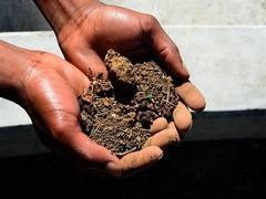 
      
      Climate change may impact ability of soil to absorb water: Study
      
      