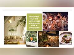 
      
      The Olive Cafe & Bar, the white-walled wonderland
      
      
