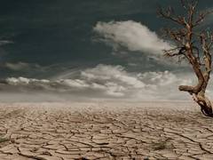 
      
      Study says extreme heat is linked to rise in mental health...
      
      