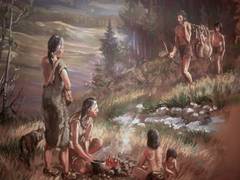 
      
      Prehistoric humans ate bone marrow like canned soup 400,000...
      
      