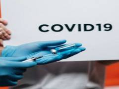 
      
      Scientists highlight potency of mini antibodies against COVID-19 
      
      