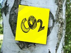 
      
      New finding converts carbon dioxide into organic materials
      
      