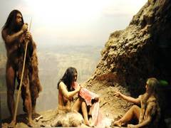 
      
      Study finds early humans breastfed their infants for longer...
      
      