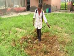 
      
      People welcome Delhi govt's initiative of bio-decomposer...
      
      