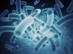 
      
      Scientists identify nutrient that helps prevent bacterial...
      
      