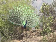 
      
      Sunal village in J-K's Udhampur seeks tourism infrastructure...
      
      
