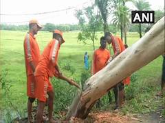 
      
      Cyclone Fani uproots trees, triggers rain in West Bengal
      
      