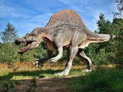 
      
      Prehistoric podiatry: How dinosaurs carried such enormous burdens
      
      