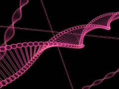 
      
      Code for cellular communication now broken by researchers
      
      