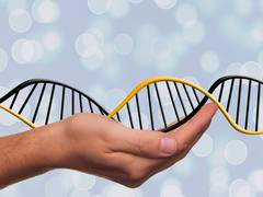 
      
      Genomic medicine may help in addressing many ailments: Study
      
      