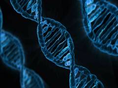
      
      Researchers find genetic variations linked to COVID-19 severity
      
      