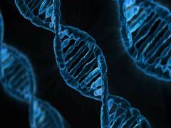 
      
      Study develops novel gene therapy method to help children...
      
      