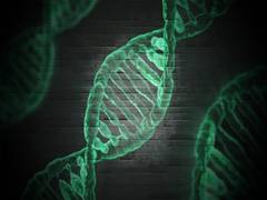 
      
      Phantom genes are secret to keep away diabetes
      
      