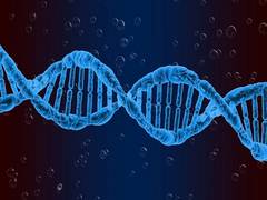 
      
      Study links genetics to childhood emotional, social and...
      
      