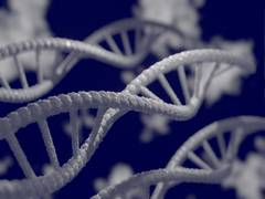 
      
      Researchers develop novel method to produce chemically...
      
      