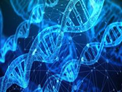 
      
      Study finds experimental gene therapy reverses sickle cell...
      
      
