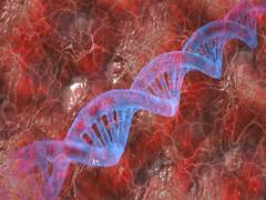 
      
      Researchers find key regulator of blood stem cell development
      
      
