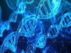 
      
      Genetic disease slowing children's brain development discovered
      
      