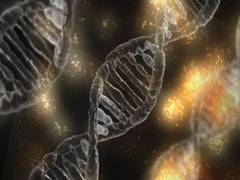 
      
      Scientists develop 'valves' in DNA to shape biological...
      
      