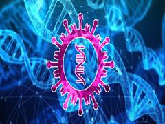 
      
      Researchers identify altered gene expression and cell...
      
      