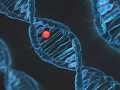 
      
      Genes linked to longer human lifespan: Study
      
      