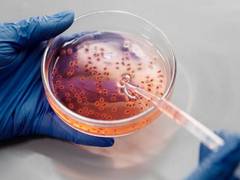 
      
      New study highlights key role of 'junk DNA' in regulating rhythms
      
      