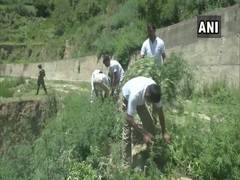 
      
      SSB personnel, doctors launch campaign against drug abuse in J-K
      
      
