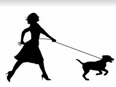 
      
      Urban dogs more fearful than their rural counterparts, study...
      
      